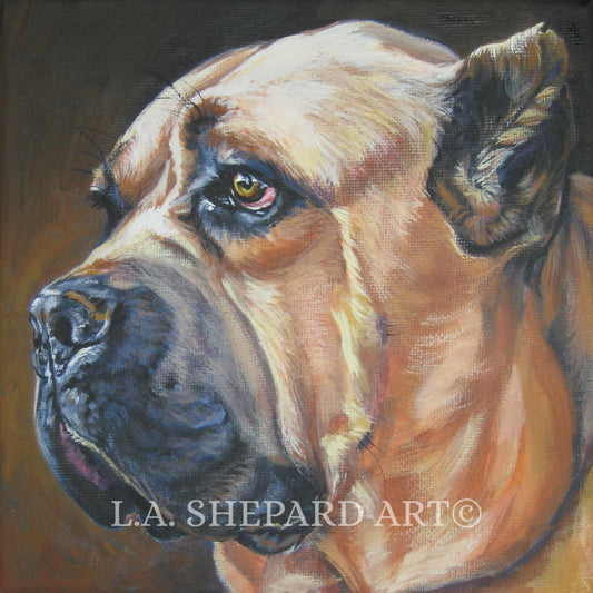 CANE CORSO dog art portrait canvas PRINT of LAShepard painting 12x12