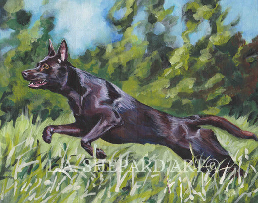 AUSTRALIAN KELPIE dog portrait art canvas PRINT of LAShepard painting 11x14"