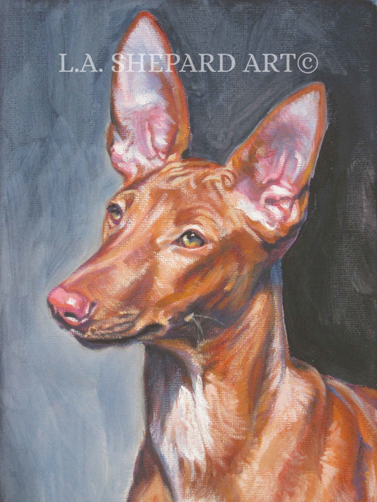 PHARAOH HOUND dog portrait art canvas PRINT of LAShepard painting 8x10"