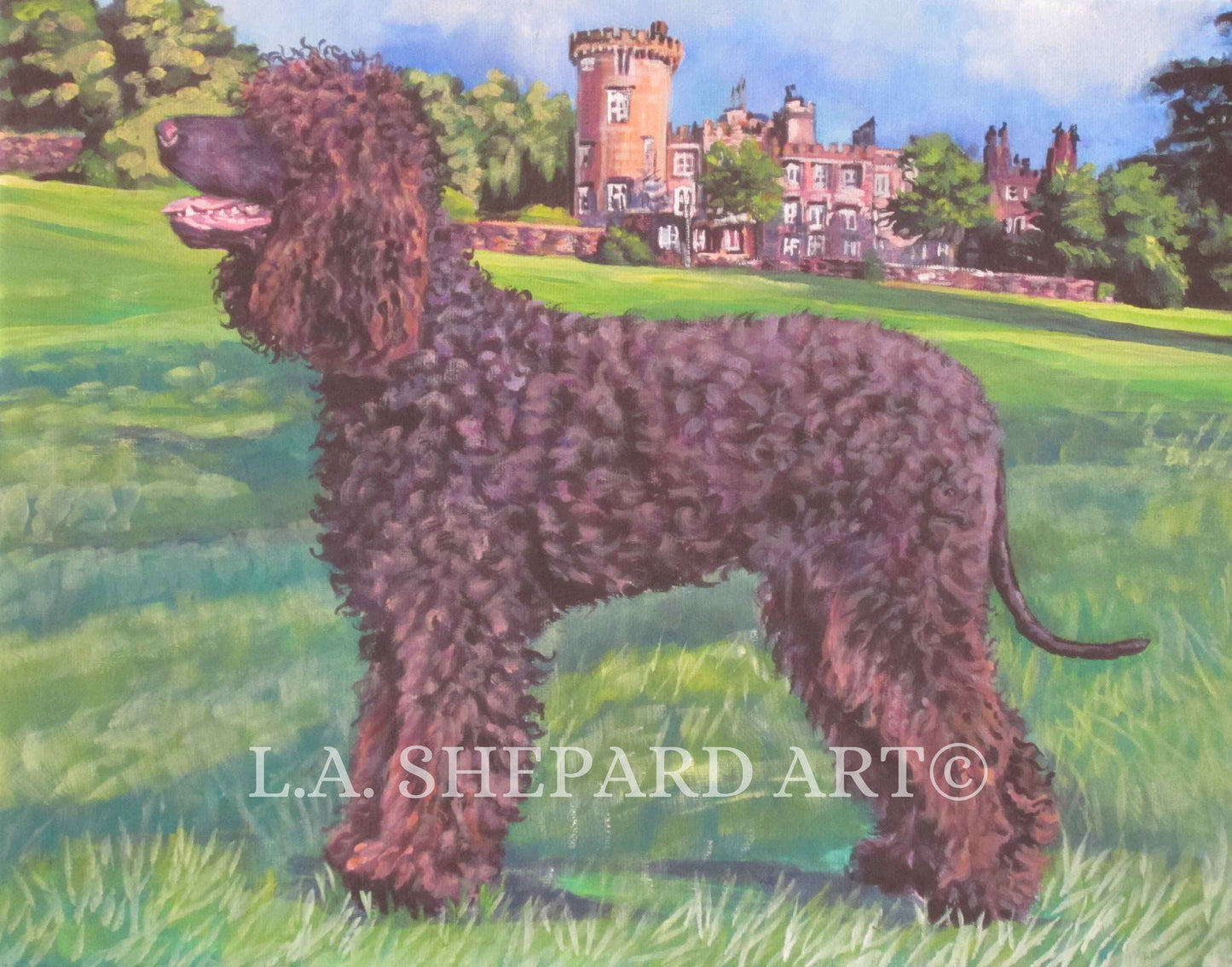 Irish Water Spaniel dog art print of LAShepard painting 11x14