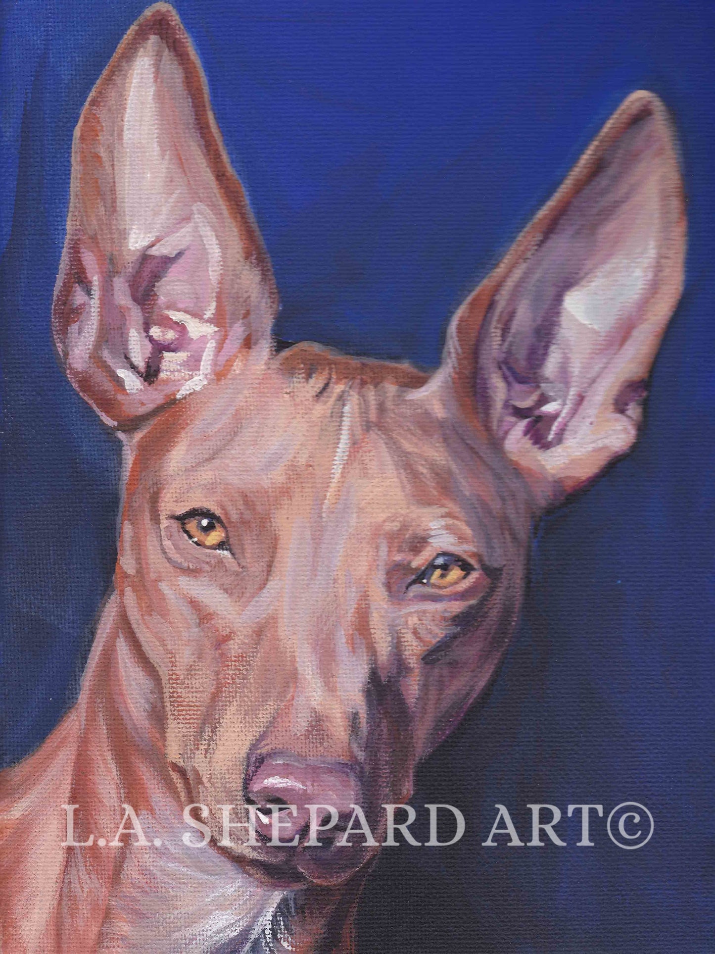 CIRNECO dell'Etna HOUND dog portrait art canvas PRINT of LAShepard painting 12x16"