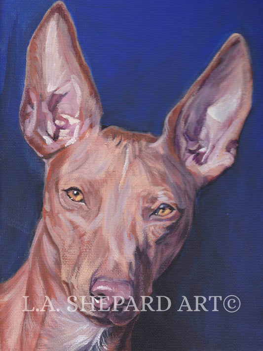CIRNECO dell'Etna HOUND dog portrait art canvas PRINT of LAShepard painting 12x16"