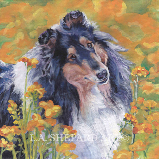 Tricolor Rough COLLIE dog ART portrait PRINT of LAShepard painting 8x8