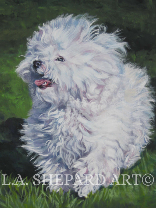 Bichon Bolognese dog art print of LA Shepard painting 8x10