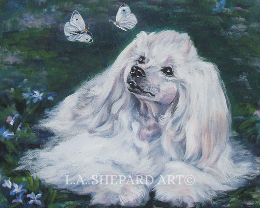 Powderpuff Chinese Crested dog art print of LA Shepard painting 8x10