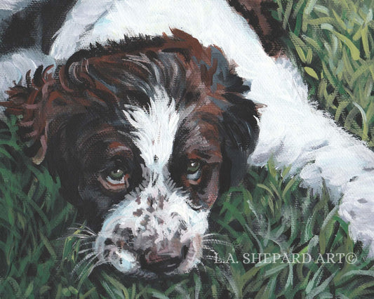 English SPRINGER Spaniel dog art portrait canvas PRINT of LA Shepard painting 8x10