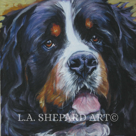 Bernese Mountain Dog art canvas print of LAShepard painting 12x12 BERNER