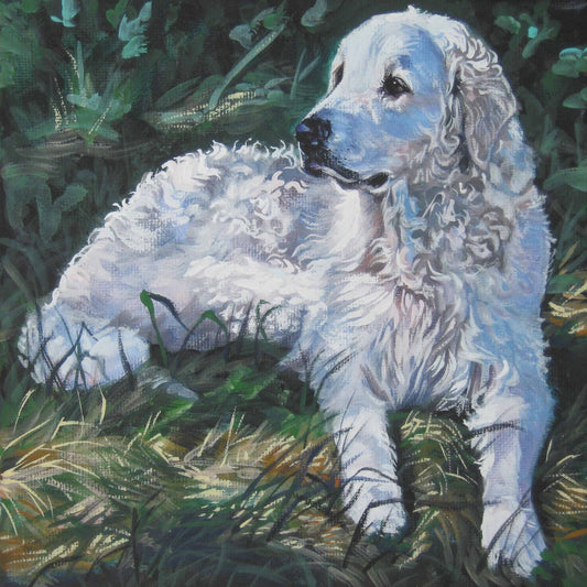 Hungarian KUVASZ dog ART portrait canvas PRINT of LAShepard painting 8x8"