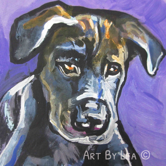 Pittador dog portrait art print of pop art  8x8"