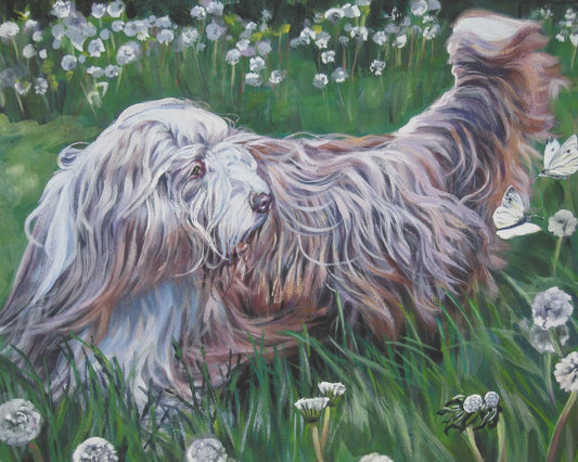 Bearded Collie dog art CANVAS print of LA Shepard painting 8x10