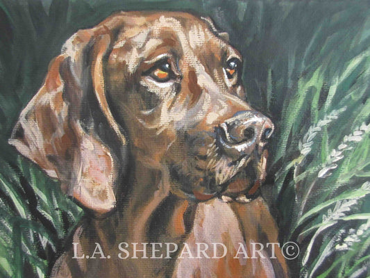 VIZSLA dog art portrait PRINT of LA Shepard painting 12x16