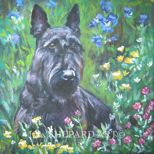 SCOTTISH TERRIER scottie dog art portrait Canvas PRINT of LAShepard painting 8x8"