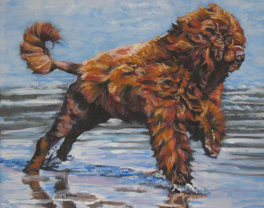 Portuguese Water Dog art CANVAS print of LA Shepard painting 11x14