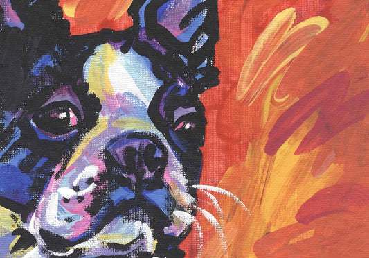 BOSTON TERRIER Dog ART print pop art bright colors 13x19"