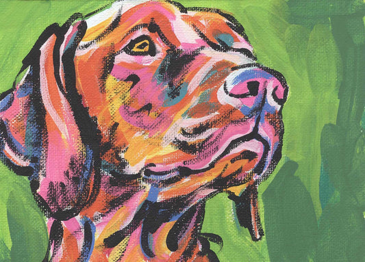 Hungarian Vizsla art print pop dog art bright colors 8.5x11" LEA