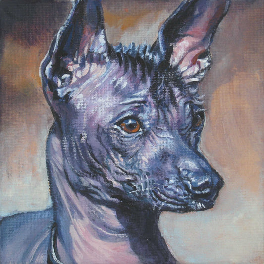 Mexican Hairless Xoloitzcuintli xolo dog art CANVAS print of LA Shepard painting 12x12