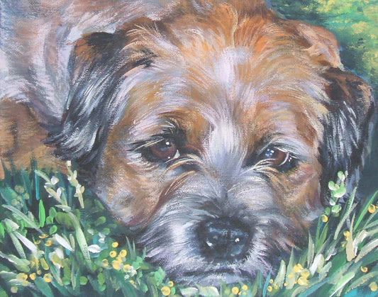 Border Terrier dog art CANVAS print of LA Shepard painting 11x14 portrait