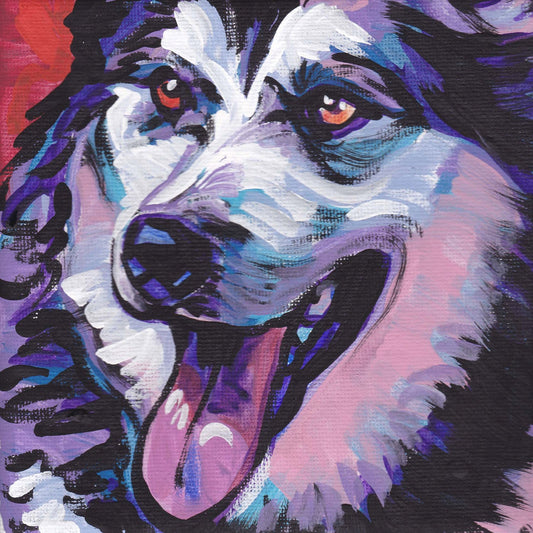 Alaskan Malamute dog portrait art print of pop art dog painting bright colors 12x12"
