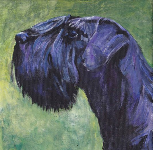 black Schnauzer dog art print of LA Shepard painting 8x8"