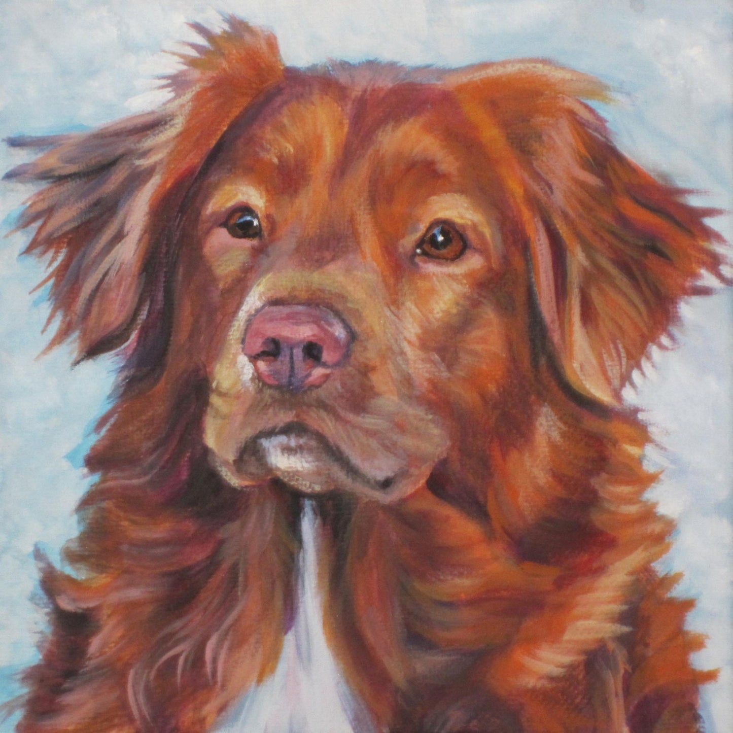 Nova Scotia Duck Tolling Retriever TOLLER dog ART portrait canvas PRINT of LAShepard painting 12x12"