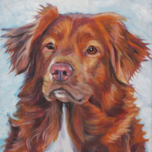 Nova Scotia Duck Tolling Retriever TOLLER dog ART portrait canvas PRINT of LAShepard painting 12x12"