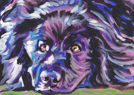NEWFOUNDLAND DOG art portrait PRINT pop art 13x19"