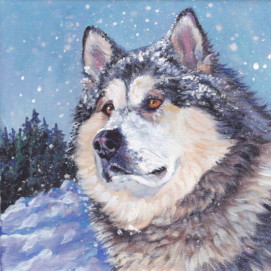 Alaskan Malamute dog art portrait CANVAS print of LA Shepard painting 8x8