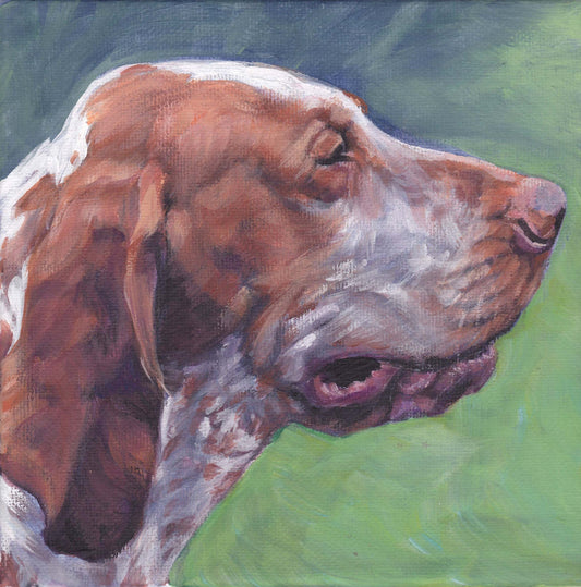 Bracco Italiano dog art CANVAS print of LA Shepard painting 12x12 dog portrait