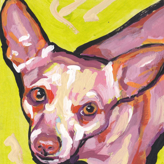 short haired  Chihuahua modern Dog art print pop dog art bright colors 8x8"