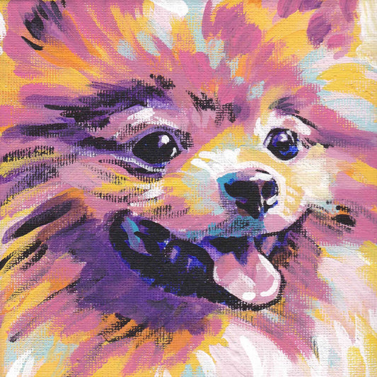 POMERANIAN dog art print POP ART bright colors 12x12