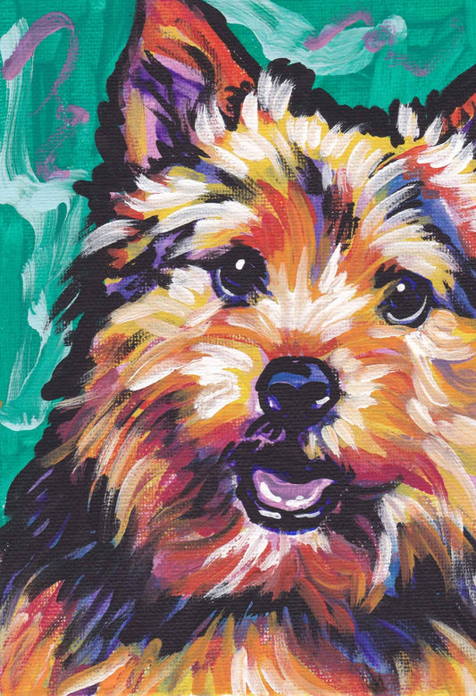 NORWICH TERRIER dog art PRINT pop art bright colors 8.5x11"