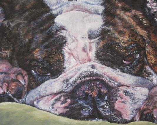 ENGLISH BULLDOG dog art portrait canvas PRINT of LAShepard painting 8x10"