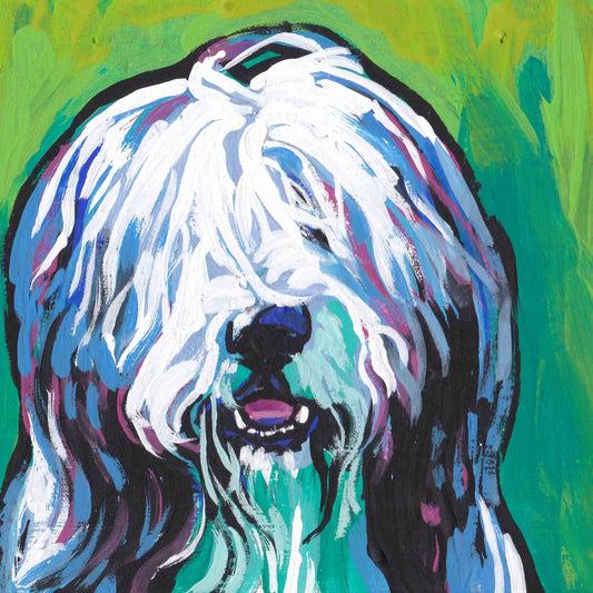 BEARDED COLLIE Beardie dog art print pop art bright colorful  8x8