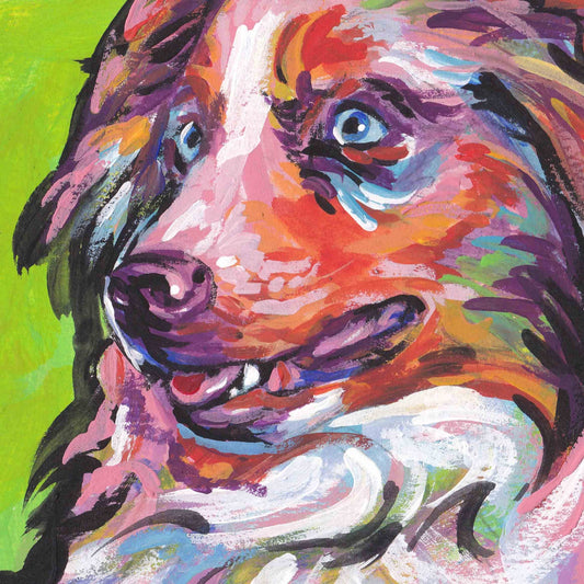 red merle Australian Shepherd art print of AUSSIE POP ART dog painting 8x8