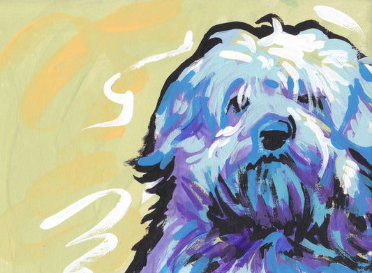Havanese portrait art print pop dog art bright colors 8.5x11 giclee print
