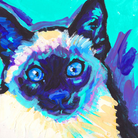 Siamese Cat kitten art print pop art bright colorful cat portrait art 12x12  by LEA