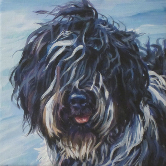 Schapendoes sheepdog dog art CANVAS print of LA Shepard painting 8x8