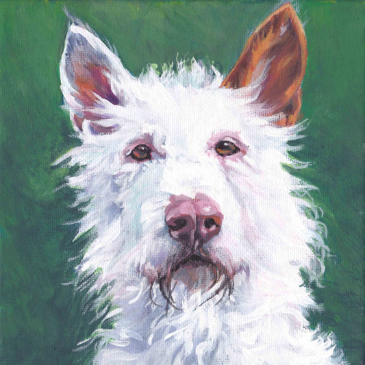 wire coated Ibizan Hound art canvas print of LA Shepard painting 8x8 dog portrait