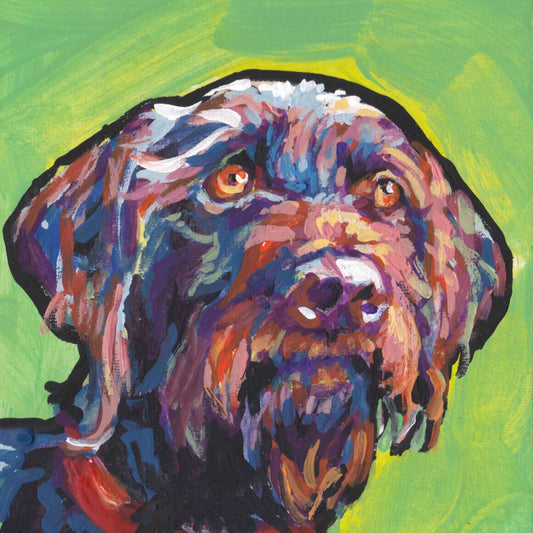German Wirehaired pointer portrait gwp print of pop dog art painting bright colors 8x8"