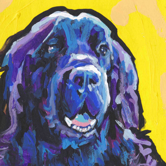 NEWFOUNDLAND dog portrait PRINT of pop art painting bright colors 12x12"