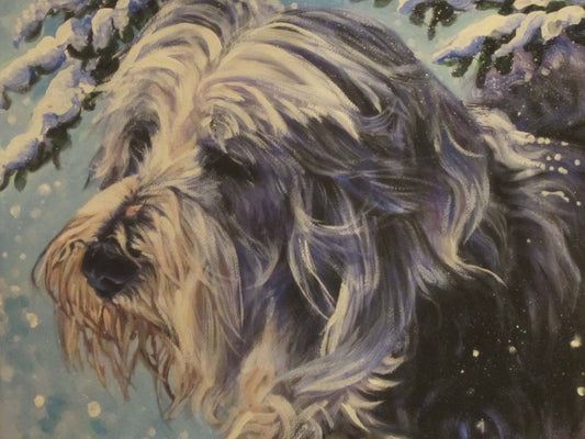 Bearded collie dog art portrait print of LAShepard painting 12x16 xmas