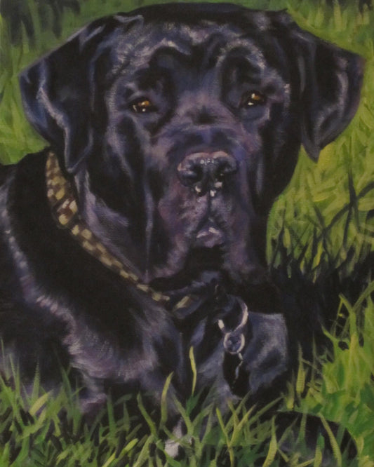 Cane Corso dog art portrait CANVAS print of LA Shepard painting 11x14