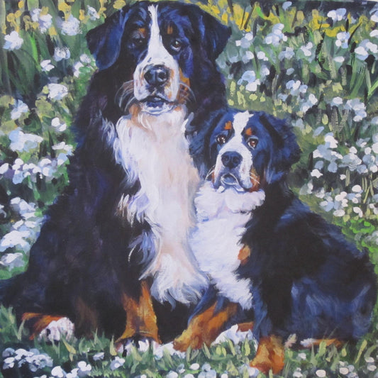 Bernese Mountain Dog art portrait CANVAS print of LA Shepard painting 8x8