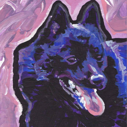 Schipperke modern Dog portrait art print of pop art painting bright colors 8x8"