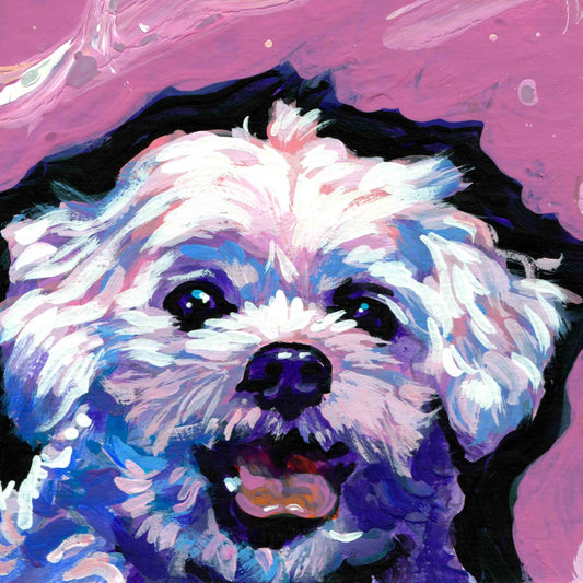 MALTESE dog portrait ART PRINT of pop art painting bright colors 12x12"