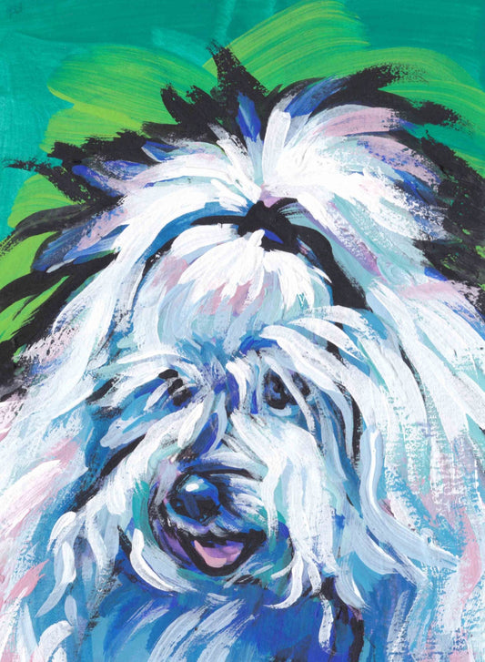 Coton de Tuléar portrait art print of pop dog art painting bright colors 8.5x11"