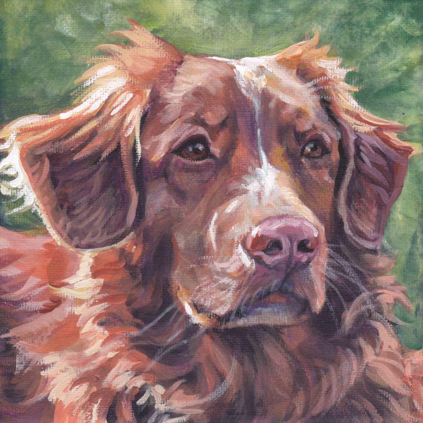 Nova Scotia Duck Tolling Retriever TOLLER dog ART canvas PRINT of LAShepard painting 8x8"
