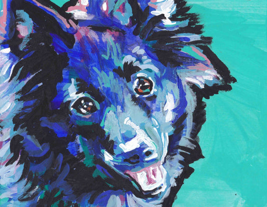 Schipperke modern Dog portrait art print of pop art painting bright colors 8.5x11"