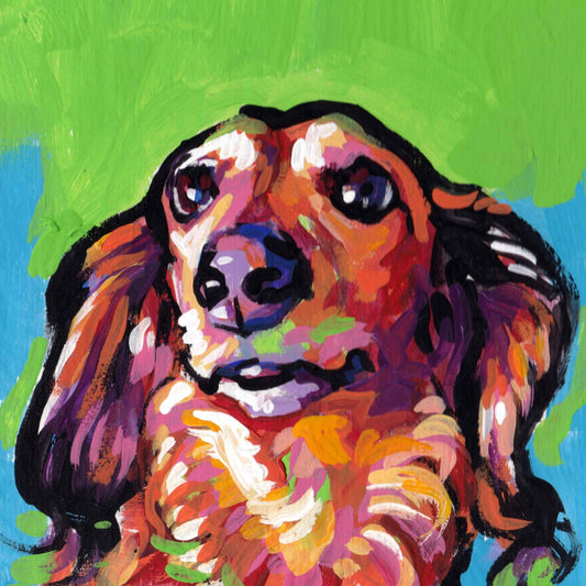 long haired Red DACHSHUND DOG portrait ART print of modern pop art painting 8x8