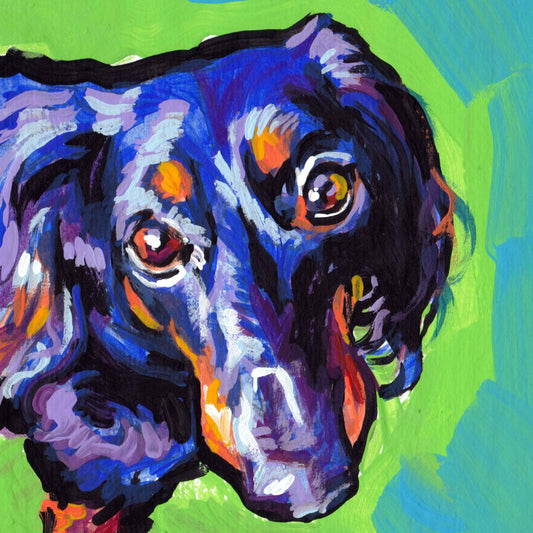 long haired black and tan Dachshund portrait art print of  pop art painting bright colors 12x12